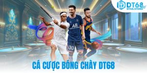 Cá cược bóng chày DT68