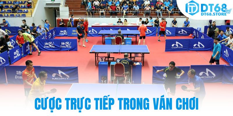 Cược trực tiếp trong ván chơi