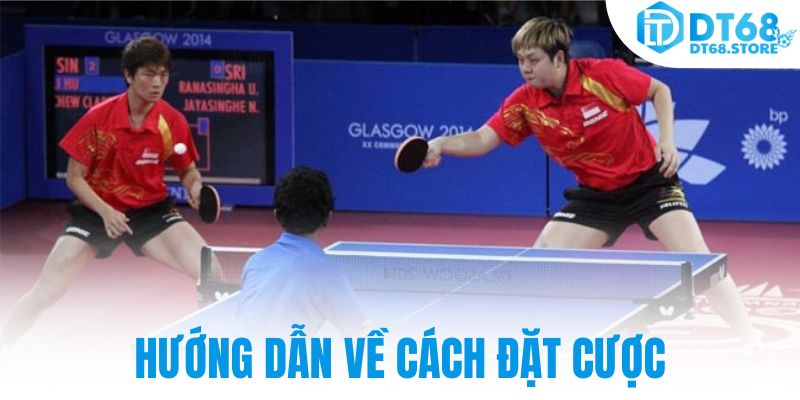 Hướng dẫn về cách đặt cược