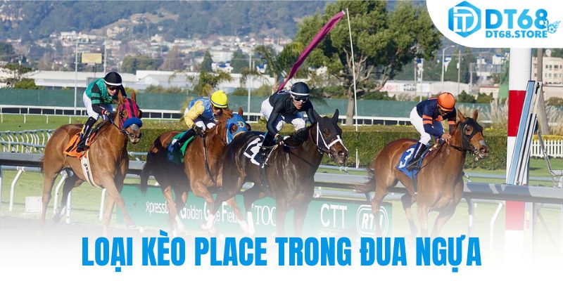 Loại kèo place trong đua ngựa