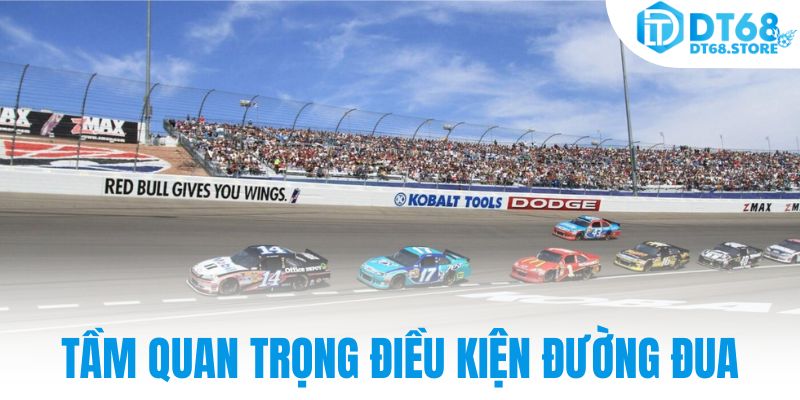 Tầm quan trọng điều kiện đường đua