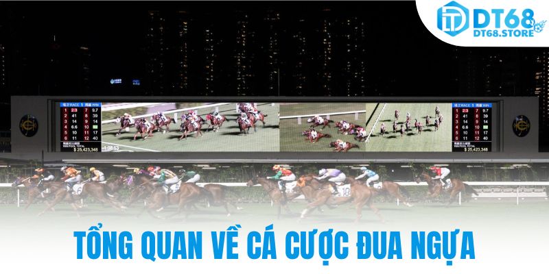 Tổng quan về cá cược đua ngựa