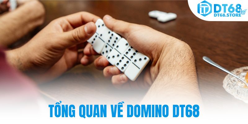 Tổng quan về Domino DT68